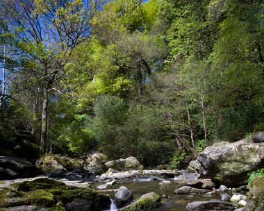 cornaa2s Port Cornaa