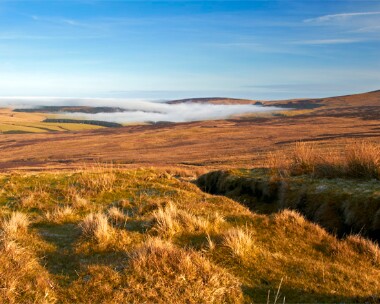 druidale220111 Druidale Isle of Man